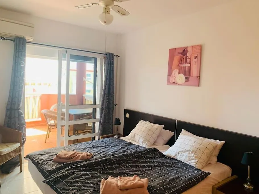 Apartment With Heated Pool In Callao Salvaje Spain